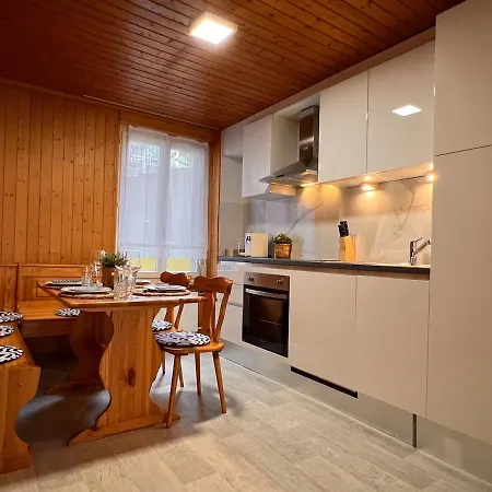 Center 1 公寓 因特拉肯